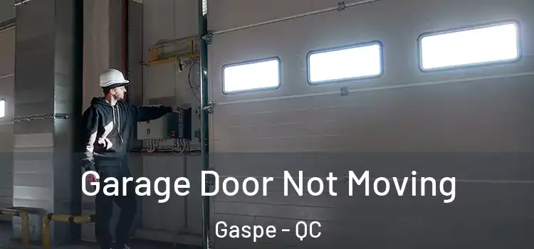  Garage Door Not Moving Gaspe - QC
