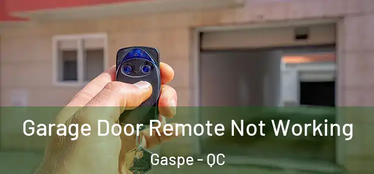  Garage Door Remote Not Working Gaspe - QC