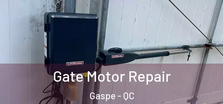  Gate Motor Repair Gaspe - QC